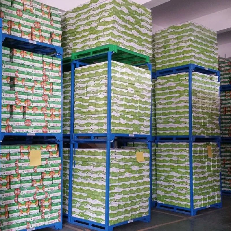 Cold Room Fruit Storage Rack